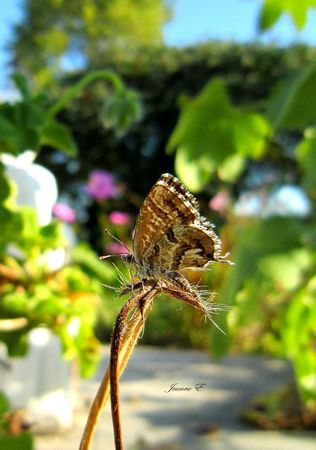 IMG_5503B