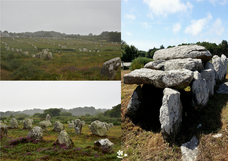 Bretagne 2015_Carnac, alignements mégalithiques