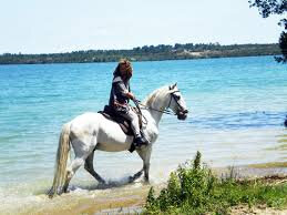 images (6)