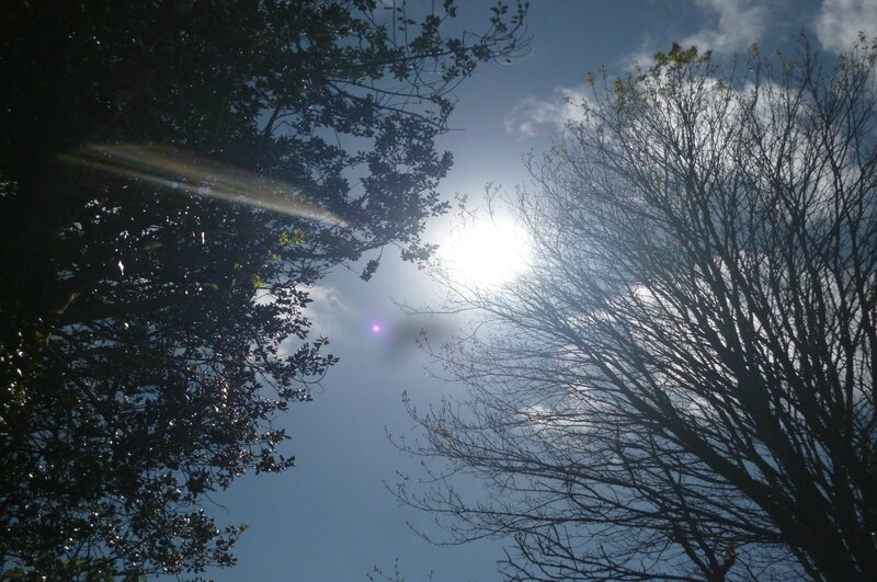 P1100309