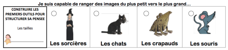brevet des tailles