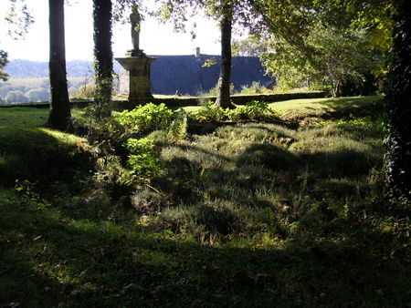BILD0051