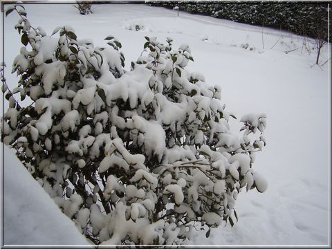 neige1