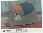 dumbo_su_de_photos