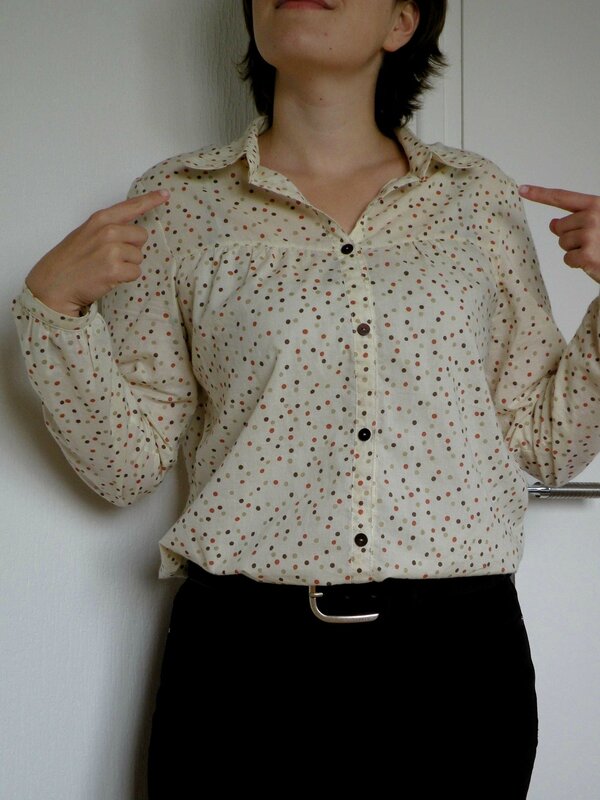 arabette d automne quot le collectif blousette arabette d automne quot le collectif blousette