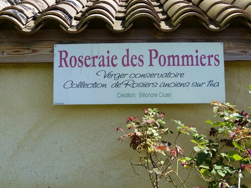 2016-RAF-Roseraie des Pommiers Ruoms (1)