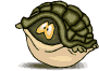 tortu0107jk