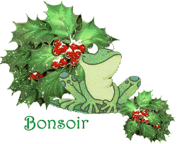 bonsoir-079