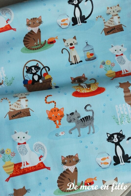 crafty cats
