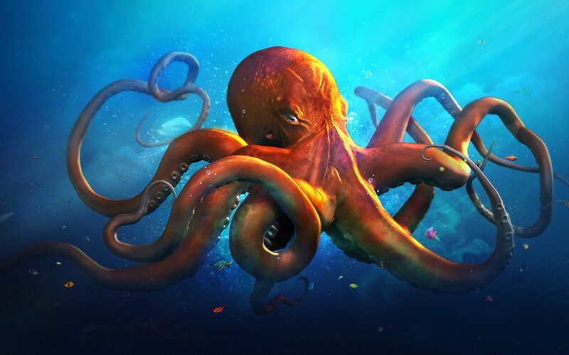 4140443-slouching-octopus