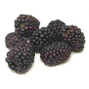 confiture-mures-noires-fruits-entiers
