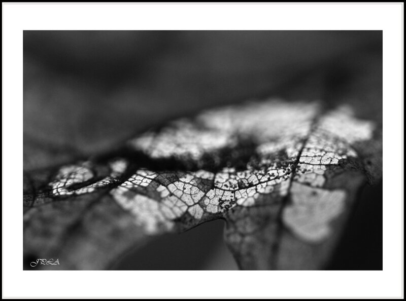 14 03 09 14 02 02 105macro 8575 b