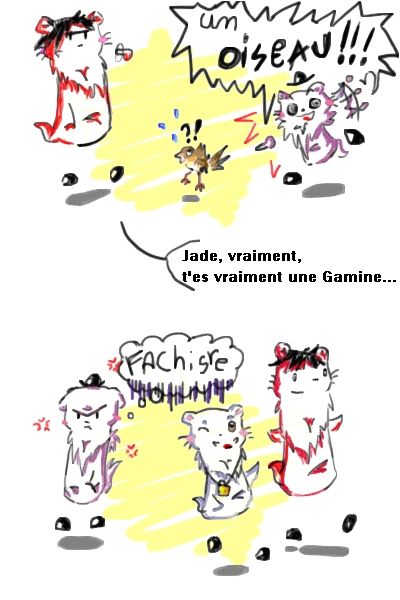 Sans_titre_1
