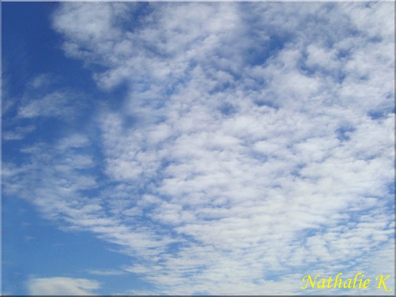 _c_LNK_le_12_novembre_2010_050_copie