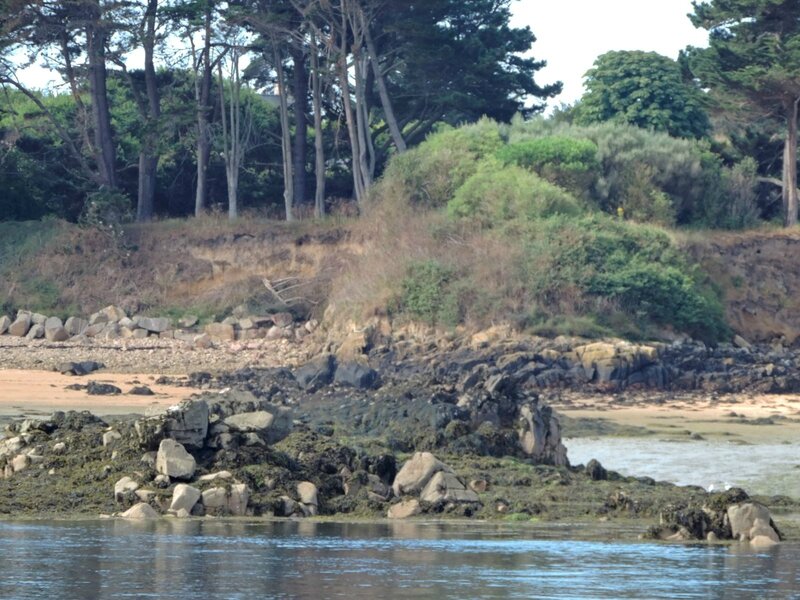 _copie-0_DSCN9087