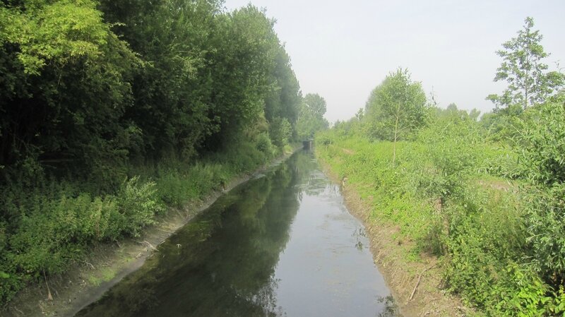 Bonnance 2013 (5)