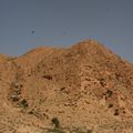 Photo 017