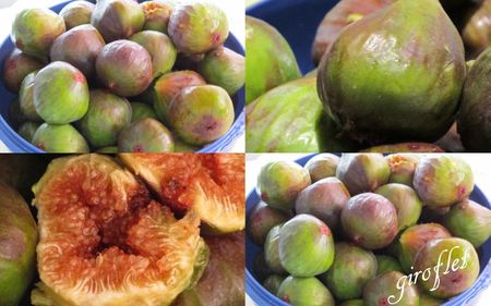 montage figues