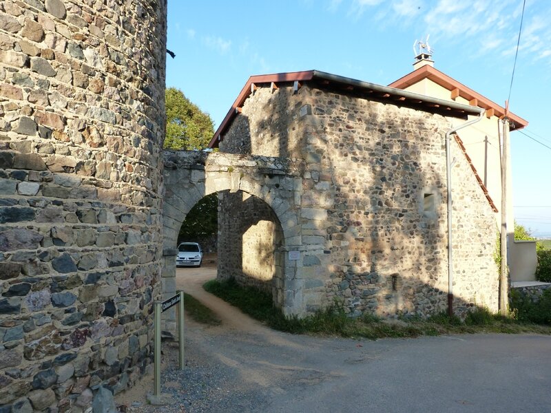P1100384