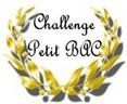 challenge petit bac