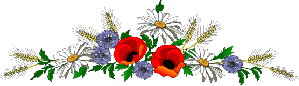 Gif barre Fleurs des champs Haut 299 Pixels