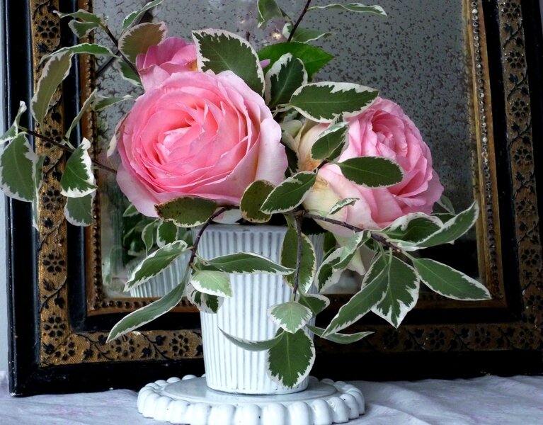 bouquet du jardin