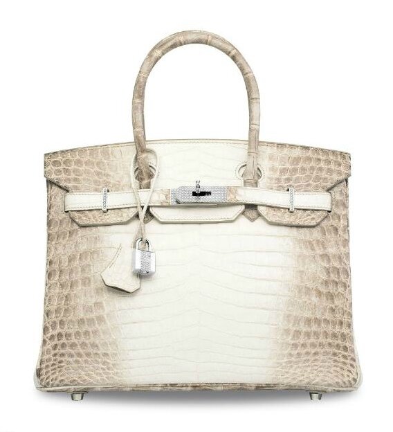 Hermes Birkin Bag 30cm Diamond Himalaya Blanc Crocodile White Gold Hardware