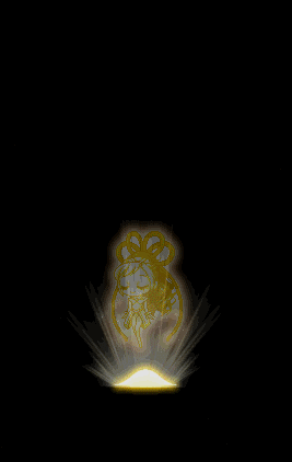 916f5b54