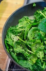 DolsopBibimbap-4