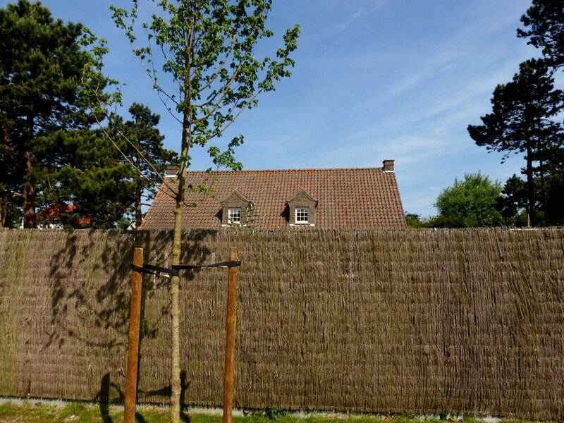 P1650777