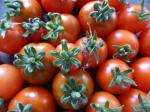 6 - tomates naines (4)