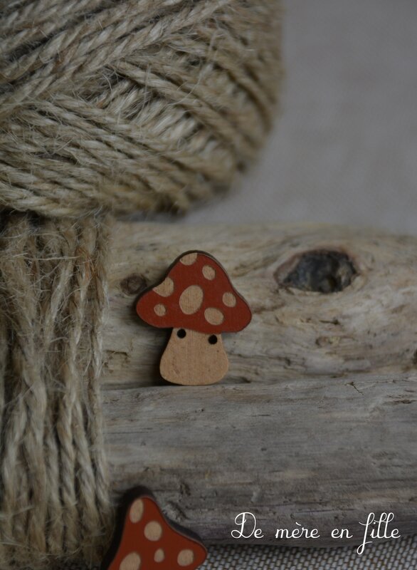 champignon tomette 2