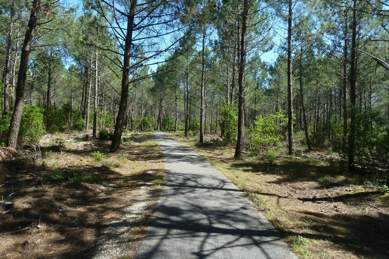Photo-piste-cyclable-Biscarrosse-plage-vivier-dune-du-Pyla