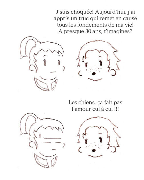 strip12