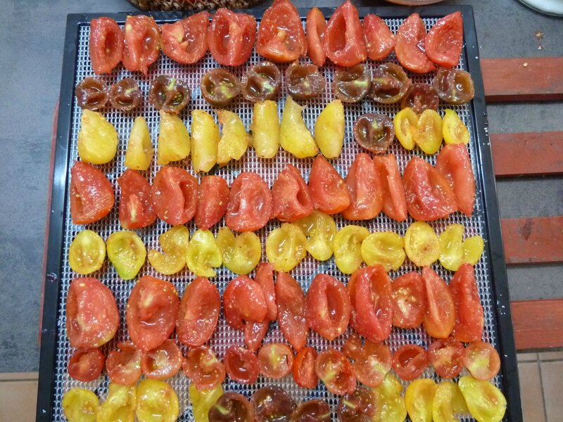 tomates séchées 2 (3)