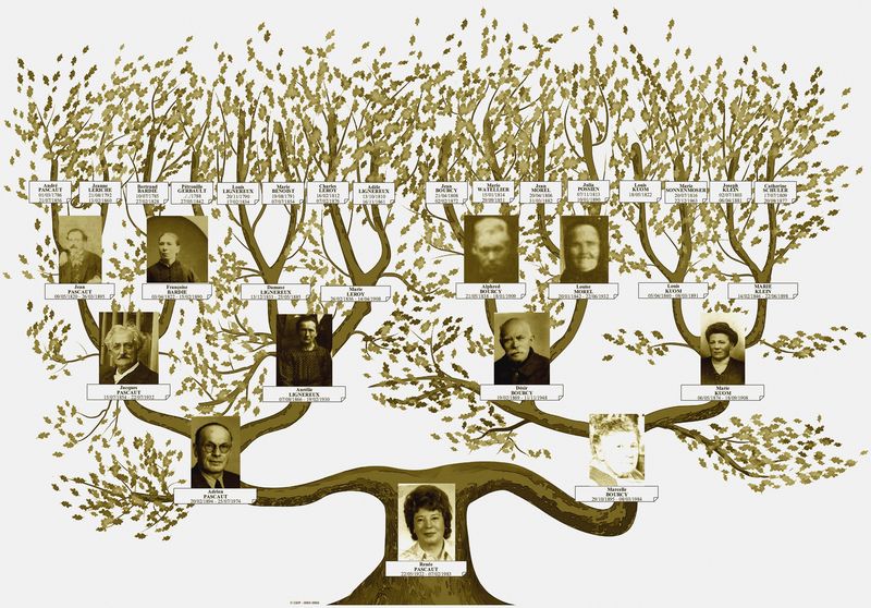 Genealogie Conseils Comment Debuter Et Travailler Mes Conseils Ce Qu Il Faut Savoir En Genealogie