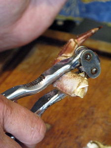 colcrabe1