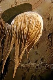 images (5)