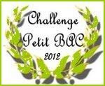 challenge pt bac vert2