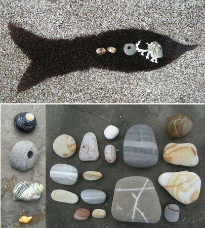 corallina cove11