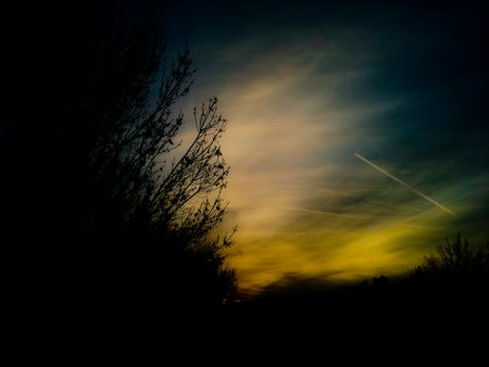 photo__1_