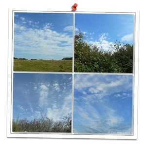 mosaic4701956_2