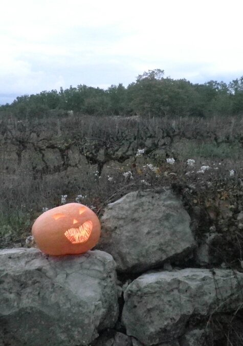 happy halloween