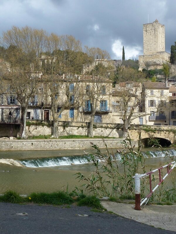 P1210877a - Copie (Large)