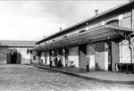 abattoir hippophagique de Vaugirard