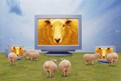 sheepTV