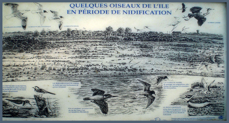 Panneau_oiseaux_de_Loire