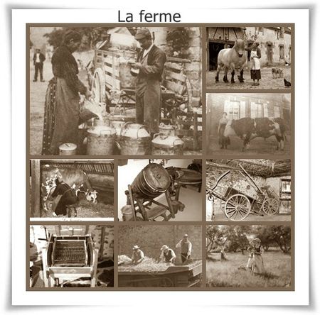 La ferme
