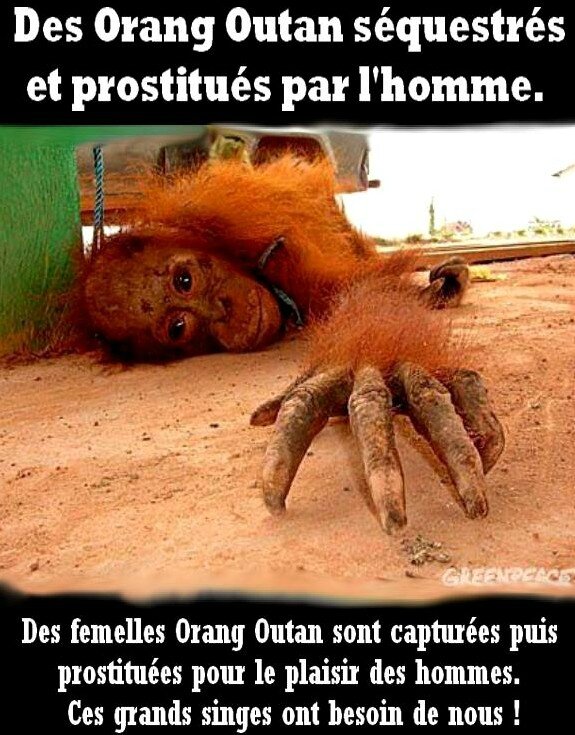 photos prostituees espagne