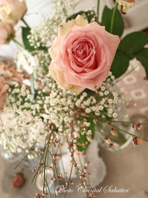 rose chantal sabatier 3